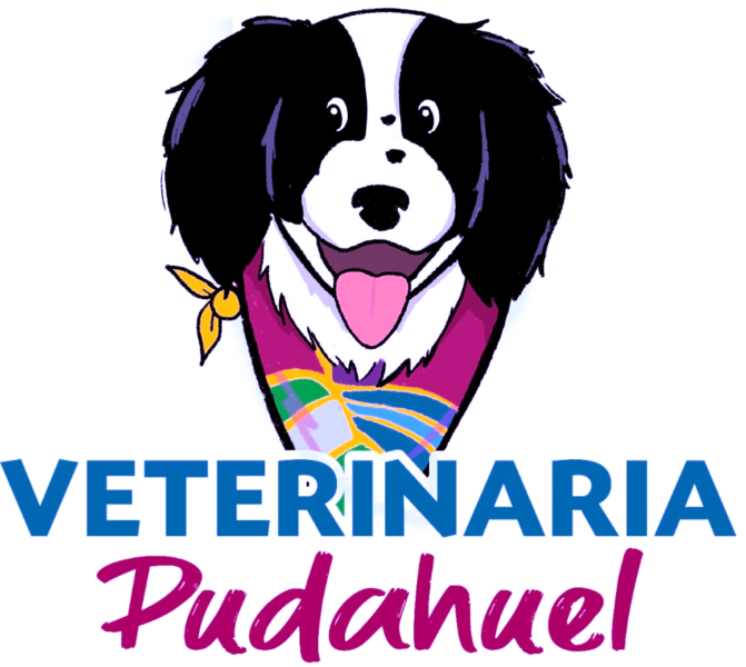 Cargando Veterinaria Municipal de Pudahuel...